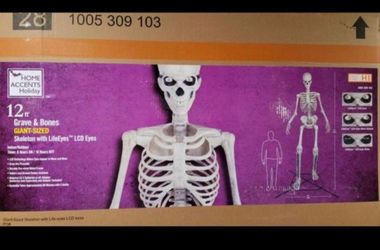 12 ft home accent  skelleton