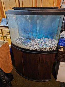 Fish Tank 45 gallons