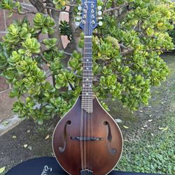 Eastman MD305 Mandolin NICE!