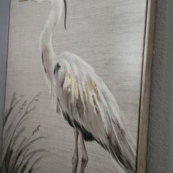 Big Beautiful Frame