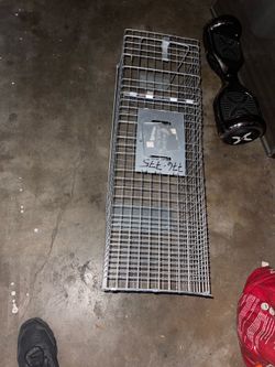 Animal trap