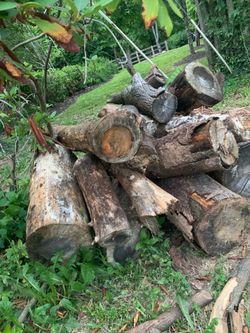 Free Wood logs to Repurpose for Projects OR, use as fire-Wood