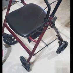 Rolling Walker With Brakes.