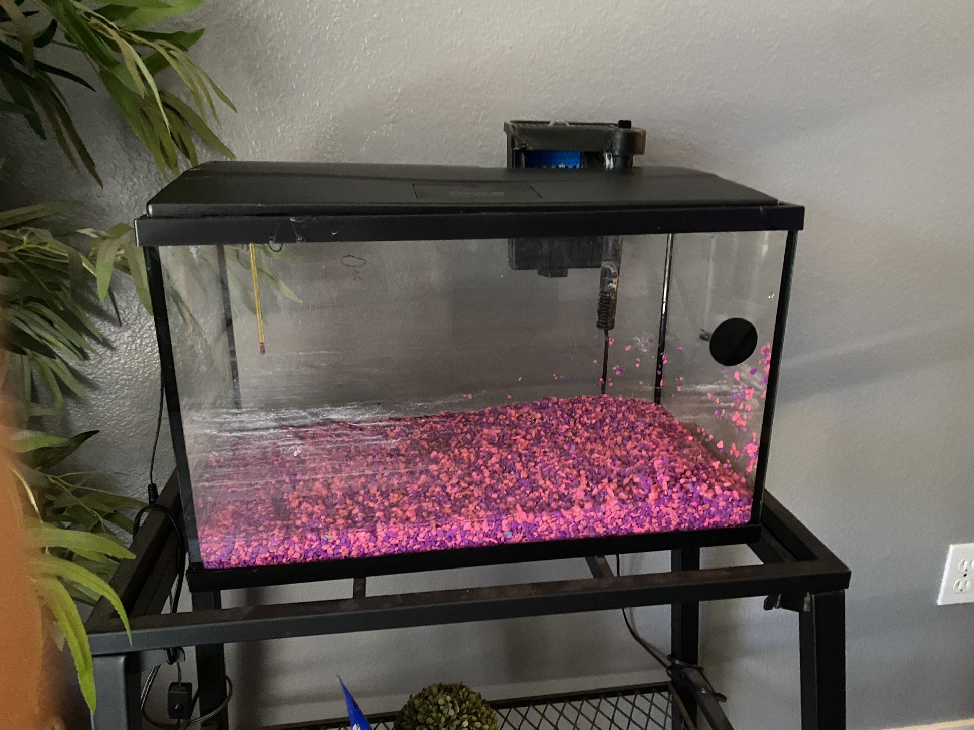 Fish tank for sale