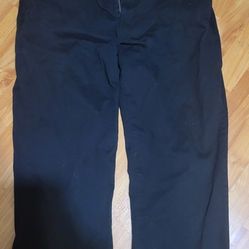 Dixxon D-Flex Pants 36x30