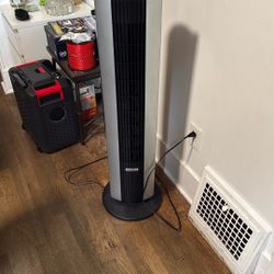 Fan