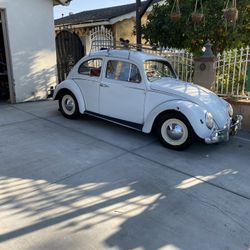 1964 Volkswagen Beetle