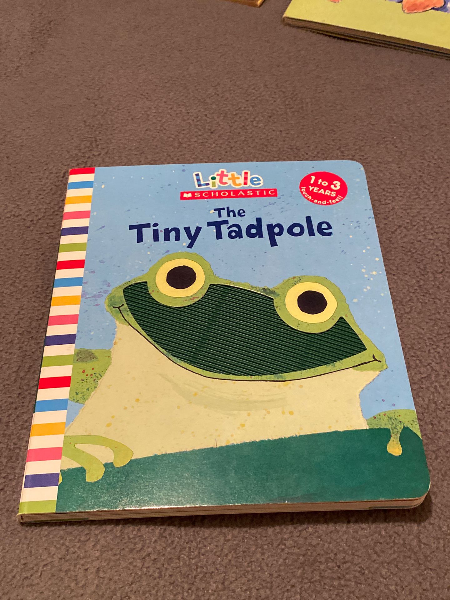 The Tiny Tadpole, touch and feel book, for ages 1-3 by Scholastic