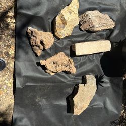 Fun And Funky Landscape Rocks Each $1 Or All For $5