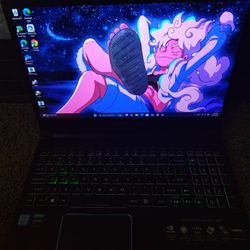 Acer Predator Helios 300 Gaming Laptop - i7 - GTX 1660ti - 16GB RAM - 1.38TB SSD/HDD - 144Hz