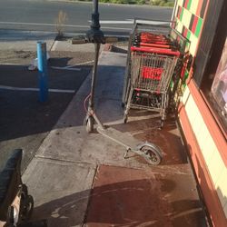 Electric Scooter Macwheel Pto