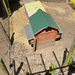 Chicken Coop