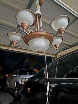5-Light Bronze Chandelier with Glass Shades