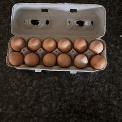 Eggs 