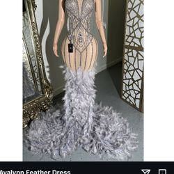 Avalynn Feather Dress Size M