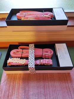 Pet Collar