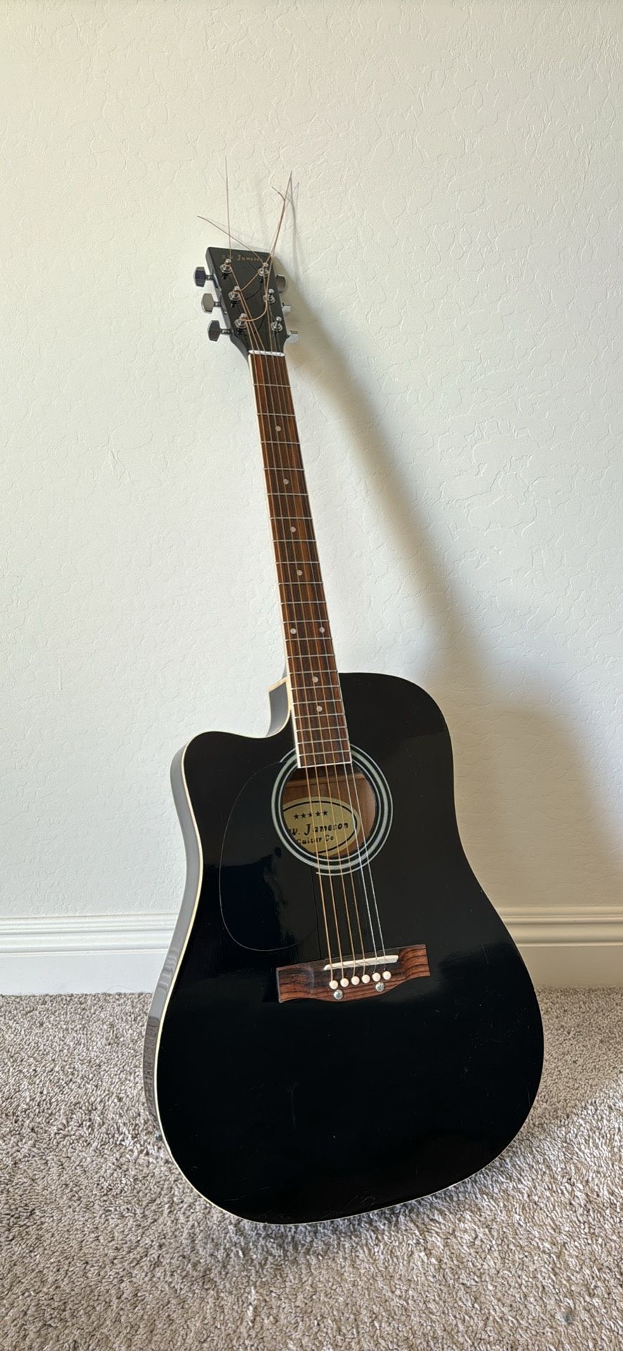 R.W. Jameson Acoustic Electric Guitar