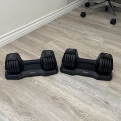 Adjustable Dumbbells (up to 25lbs Each)
