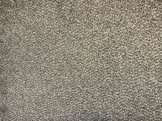 New Carpet