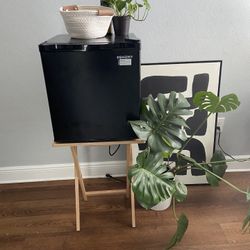 EUHOMY 1.7 Cu.Ft Mini Fridge (Larger Mini)