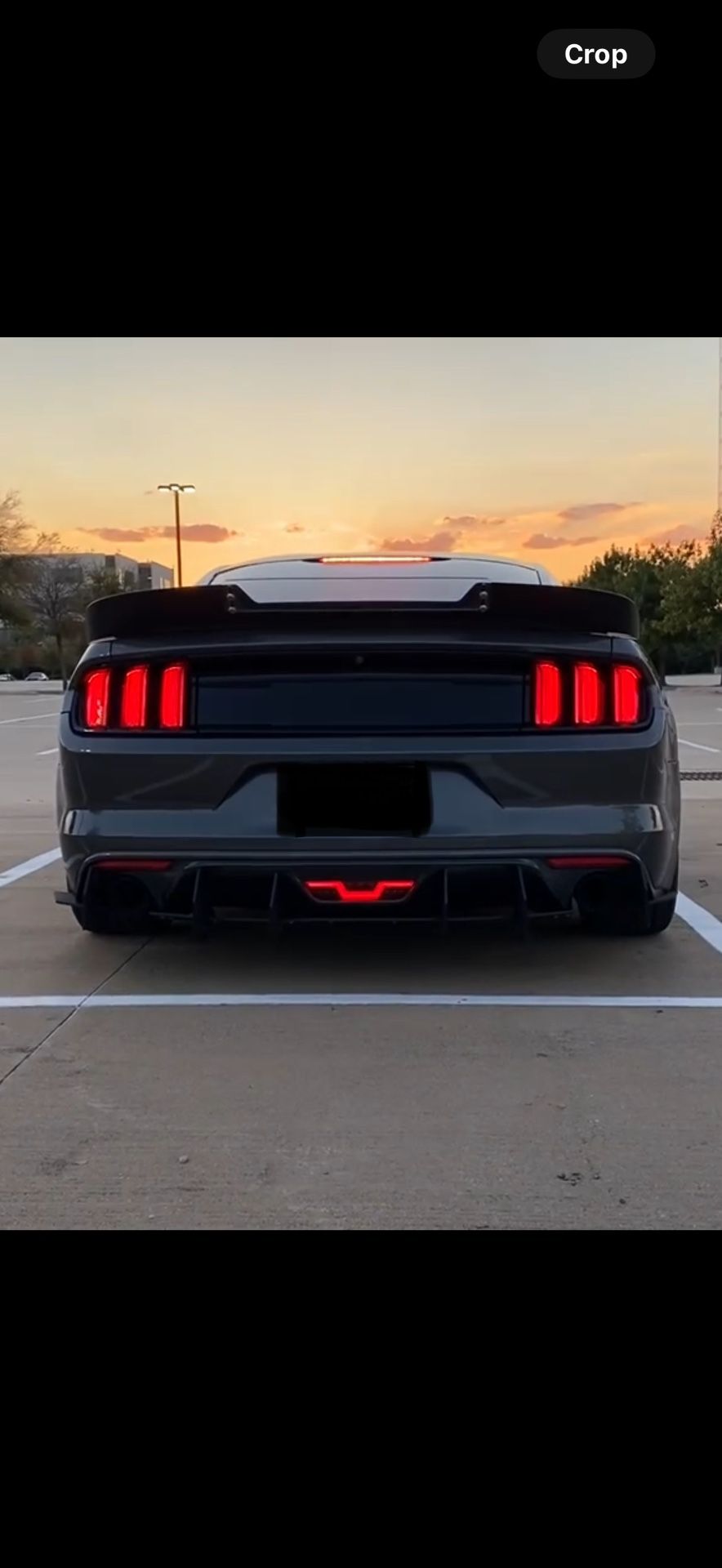 Ford Mustang Reverse Light