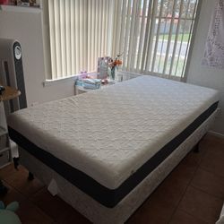 Twin Size Beds 