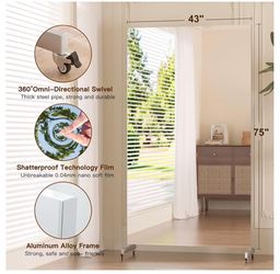 Full Length Floor Mirror with Wheels 43x75