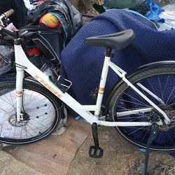 Trek VERVE 1 DISC LOWSTEP