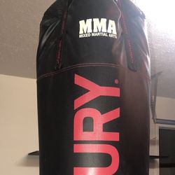 Hanging Punching Bag