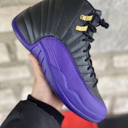 New Air Jordan 12 Field Purple [ pick up only] Size 10 Mens. $140 FIRM