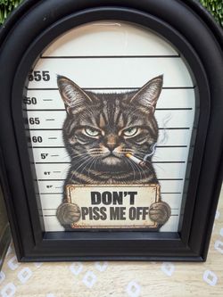 Funny cat picture
