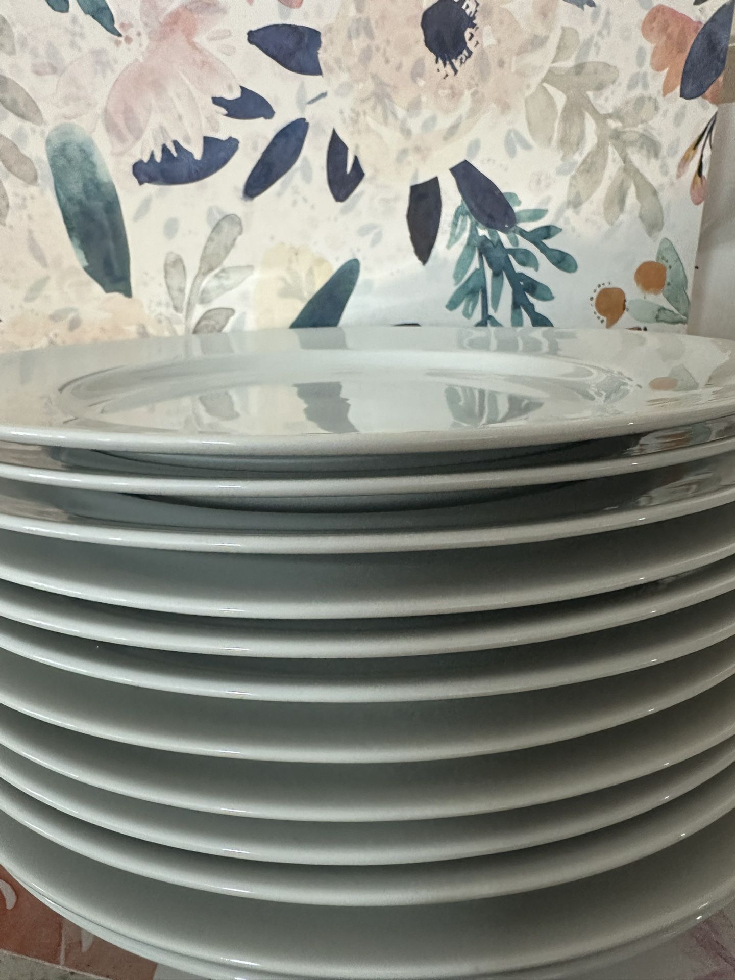 Porcelain Plates 