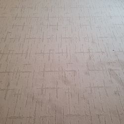 Shaw Patterned Carpet 