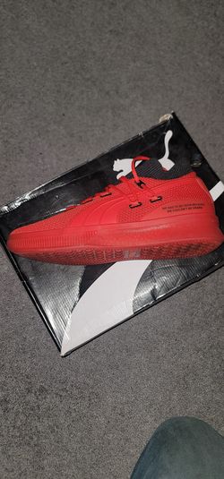 Puma Reform