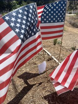 Flags