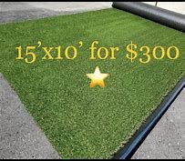 New turf 15'x10' $300