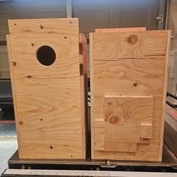 Nest Boxes For Ringneck 