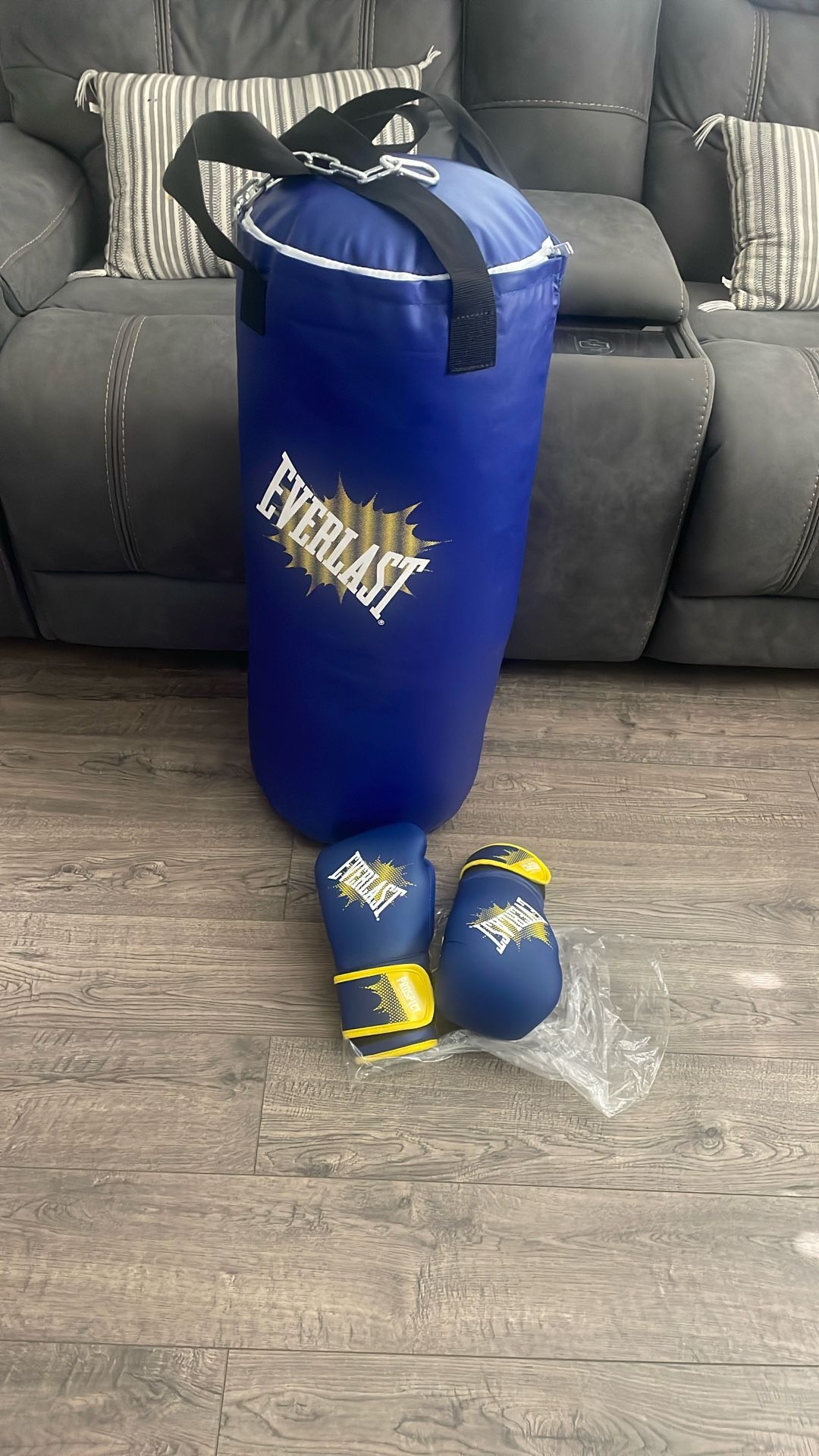 Everlast Punching Bag And Gloves
