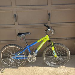 Nishiki Pueblo 24 bike 