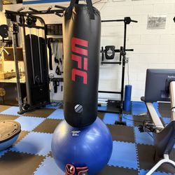 UFC Heavy Bag & Gloves 