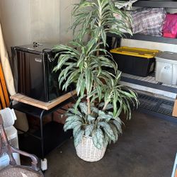 Faux Plant