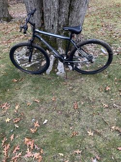 29” Mountain Bike 