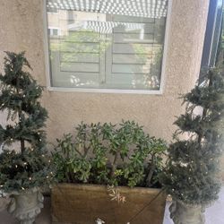 ***Two Faux Spiral Topiaries With Lights***