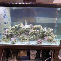 110 Gallon Saltwater Fish Tank 