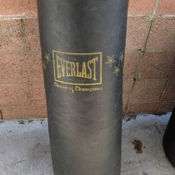 Everlast 100lb Heavybag 