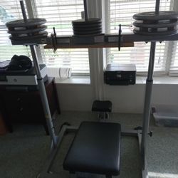 Vertical Leg Press