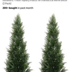 NEW Pair Of 3’ Trees 🌲 