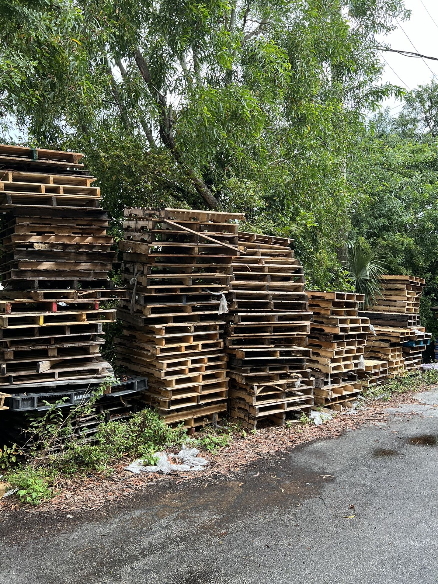 FREE Wooden Pallets all sizes