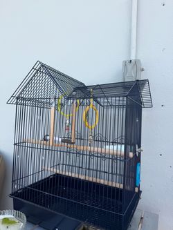 Cage