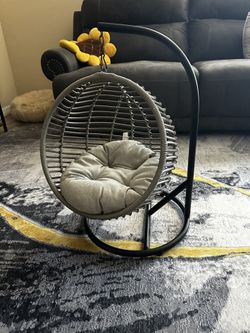 Cat/dog Swing